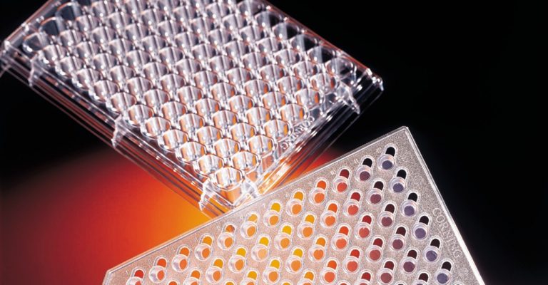 Permeable Supports Products & Equipment | Life Sciences Permeable Supports Products & Equipment | Life Sciences